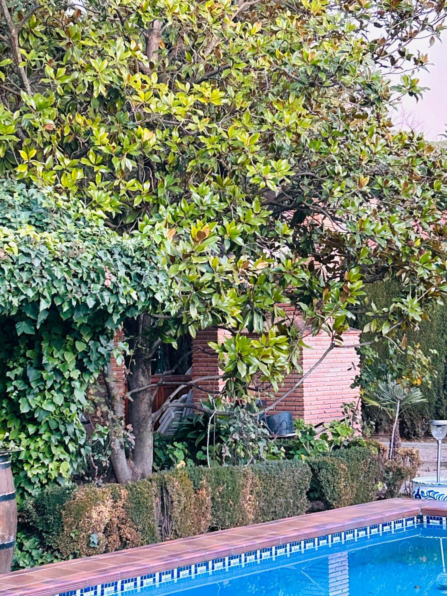 Casa Los Rosales Alfacar Bagian luar foto