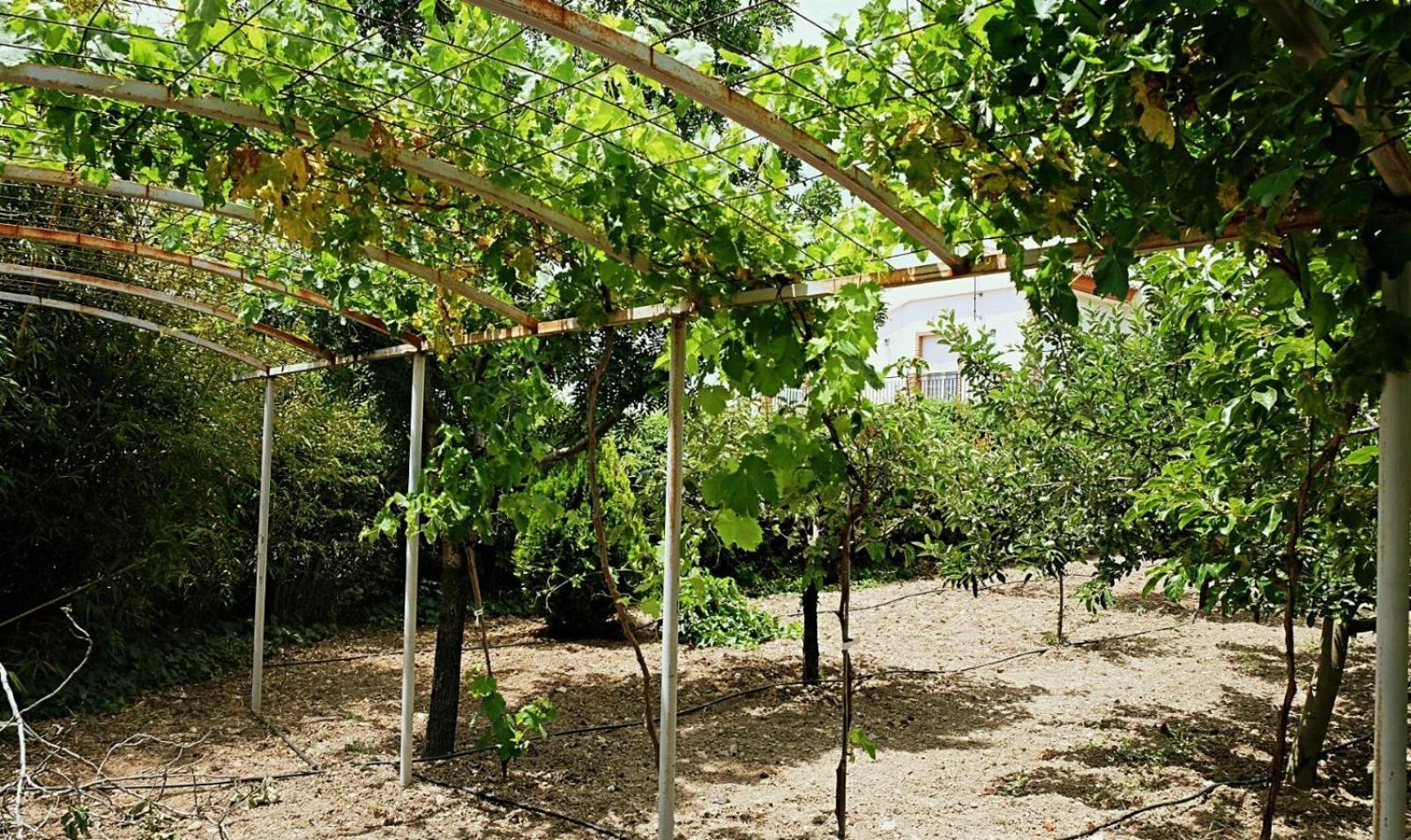 Casa Los Rosales Alfacar Bagian luar foto