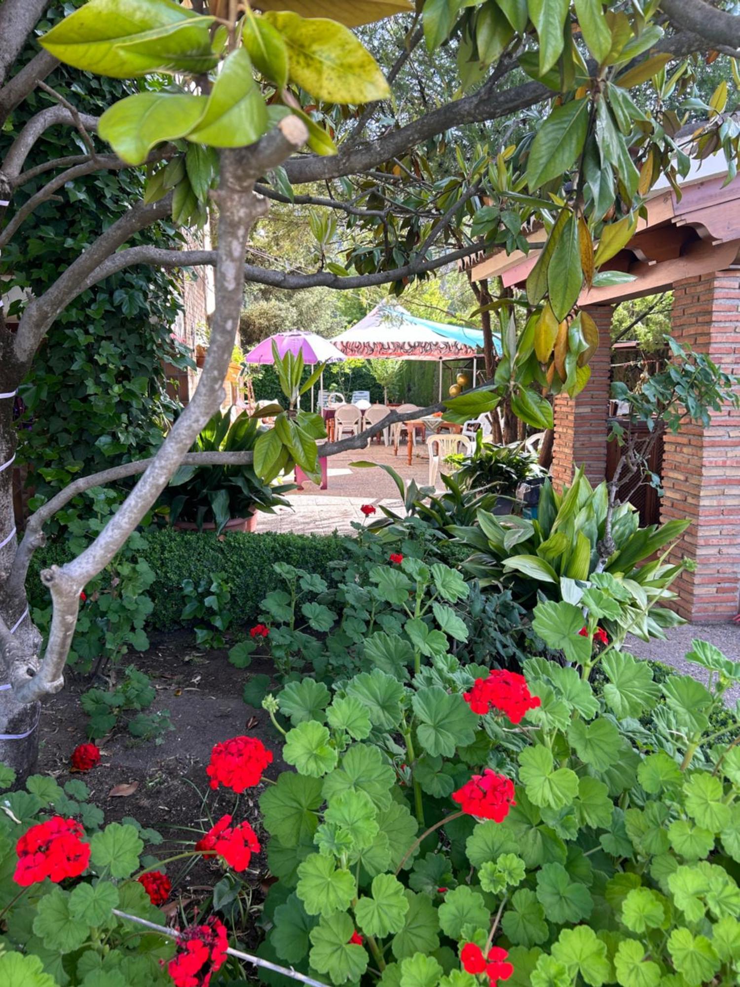 Casa Los Rosales Alfacar Bagian luar foto